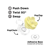 BonBon Daisy Lemon Meringue &mdash;  PopTop image number 2